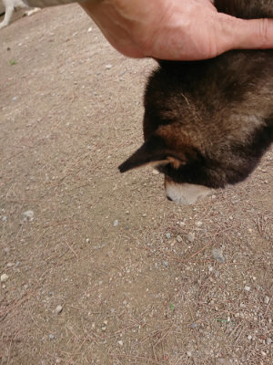 f:id:roukenhome-ann:20190614135123j:plain