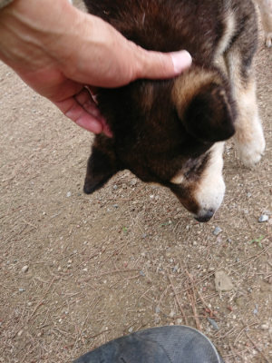 f:id:roukenhome-ann:20190614135128j:plain