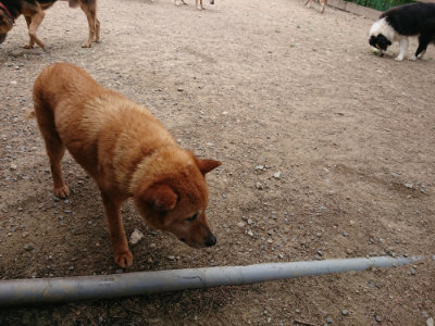 f:id:roukenhome-ann:20190614135148j:plain
