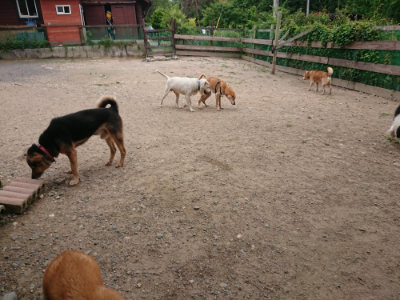 f:id:roukenhome-ann:20190614135152j:plain