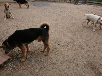 f:id:roukenhome-ann:20190614135211j:plain