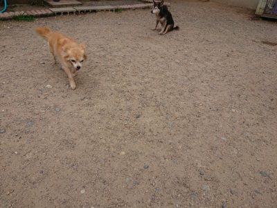 f:id:roukenhome-ann:20190614135318j:plain