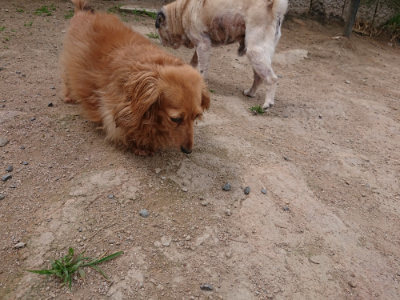 f:id:roukenhome-ann:20190614135329j:plain