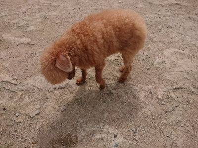 f:id:roukenhome-ann:20190614135348j:plain