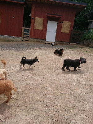 f:id:roukenhome-ann:20190614135443j:plain