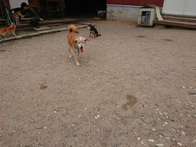 f:id:roukenhome-ann:20190614135449j:plain