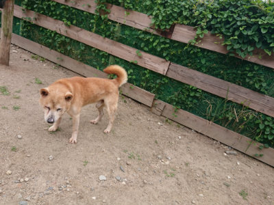 f:id:roukenhome-ann:20190614135458j:plain