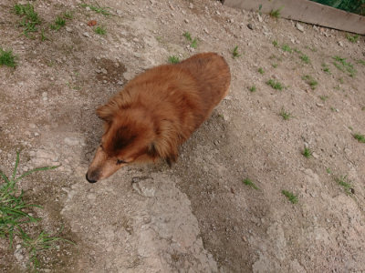 f:id:roukenhome-ann:20190614135514j:plain