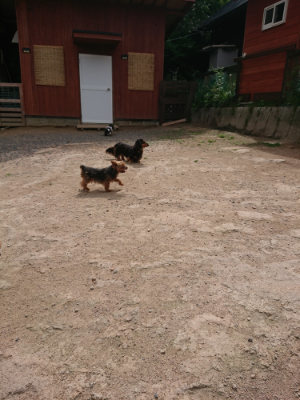 f:id:roukenhome-ann:20190614135543j:plain
