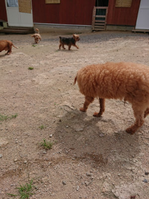 f:id:roukenhome-ann:20190614135558j:plain