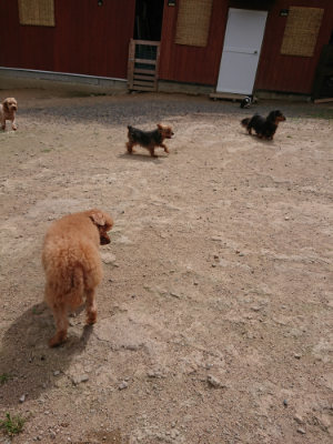 f:id:roukenhome-ann:20190614135603j:plain