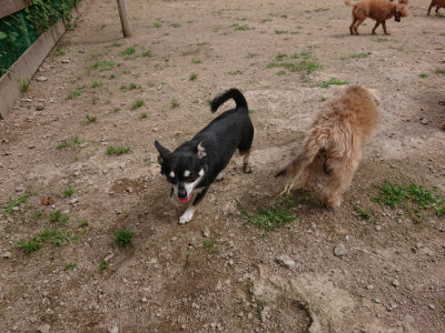 f:id:roukenhome-ann:20190614135628j:plain