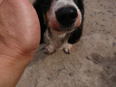 f:id:roukenhome-ann:20190614135659j:plain