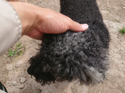 f:id:roukenhome-ann:20190614135704j:plain