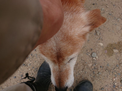 f:id:roukenhome-ann:20190614135723j:plain