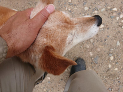 f:id:roukenhome-ann:20190614135736j:plain