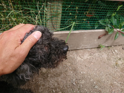 f:id:roukenhome-ann:20190614135943j:plain
