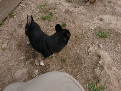 f:id:roukenhome-ann:20190614135953j:plain