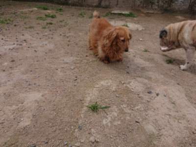 f:id:roukenhome-ann:20190614140003j:plain