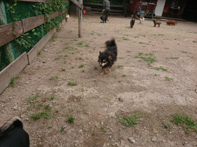 f:id:roukenhome-ann:20190614140008j:plain