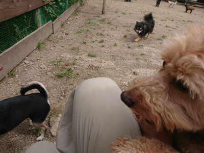 f:id:roukenhome-ann:20190614140025j:plain