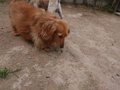 f:id:roukenhome-ann:20190614140035j:plain