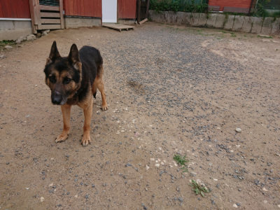 f:id:roukenhome-ann:20190614140044j:plain