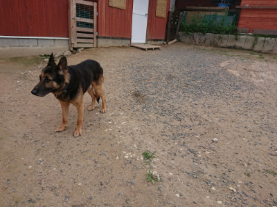 f:id:roukenhome-ann:20190614140106j:plain