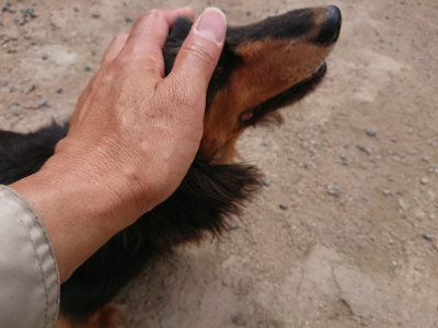 f:id:roukenhome-ann:20190614140125j:plain