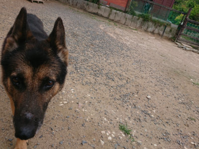 f:id:roukenhome-ann:20190614140152j:plain