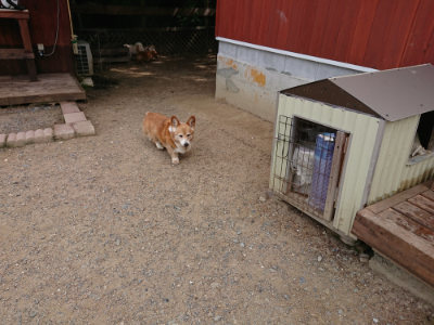 f:id:roukenhome-ann:20190614140224j:plain