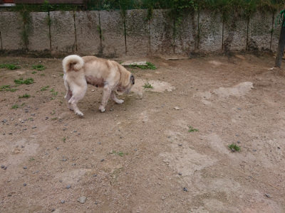f:id:roukenhome-ann:20190614140252j:plain