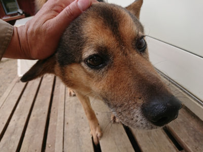 f:id:roukenhome-ann:20190614140258j:plain
