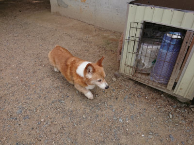 f:id:roukenhome-ann:20190614140317j:plain