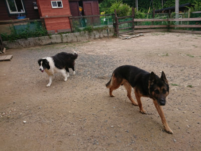 f:id:roukenhome-ann:20190614140325j:plain