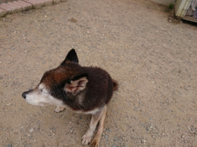 f:id:roukenhome-ann:20190614140338j:plain
