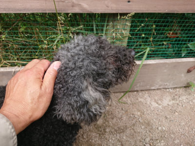 f:id:roukenhome-ann:20190614140347j:plain