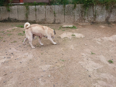 f:id:roukenhome-ann:20190614140414j:plain