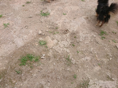 f:id:roukenhome-ann:20190614140425j:plain