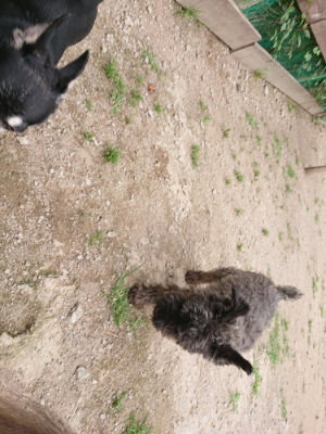f:id:roukenhome-ann:20190614140504j:plain