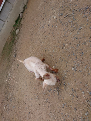 f:id:roukenhome-ann:20190614140509j:plain