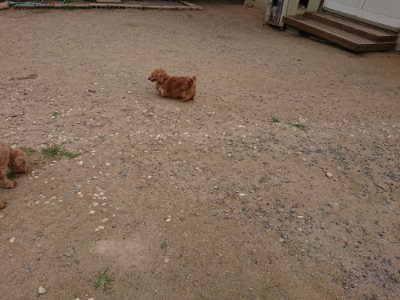 f:id:roukenhome-ann:20190614140513j:plain