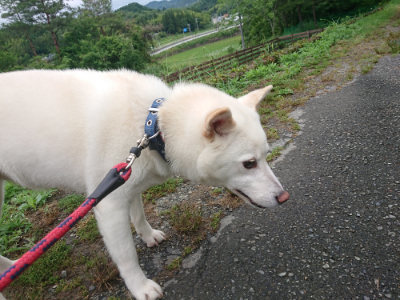 f:id:roukenhome-ann:20190615123743j:plain