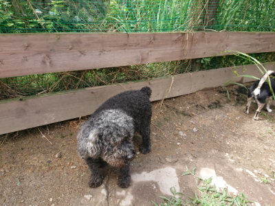 f:id:roukenhome-ann:20190617190228j:plain