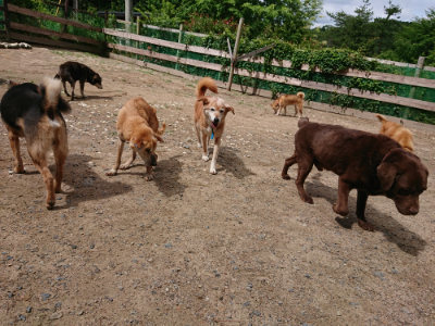f:id:roukenhome-ann:20190617190241j:plain