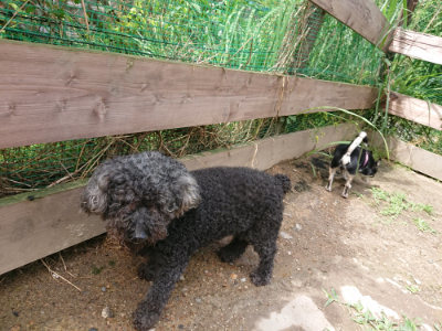 f:id:roukenhome-ann:20190617190323j:plain