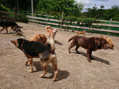 f:id:roukenhome-ann:20190617190328j:plain