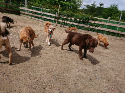 f:id:roukenhome-ann:20190617190410j:plain