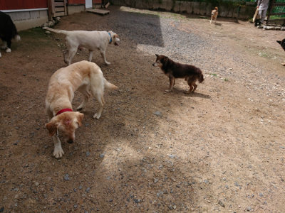 f:id:roukenhome-ann:20190617190424j:plain