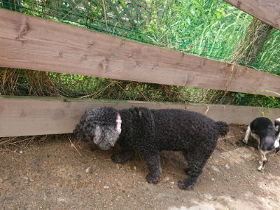 f:id:roukenhome-ann:20190617190440j:plain